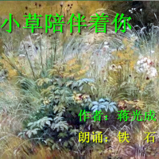 《小草陪伴着你》作者：蒋光成；朗诵：铁石