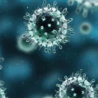 预防新型冠状病毒