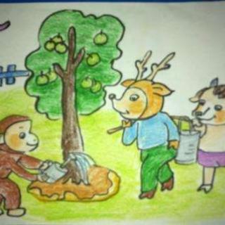 小班绘本《小熊的苹果树》