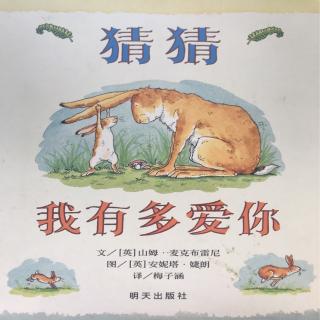 猜猜我有多爱你