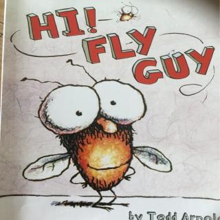 hi Fly Guy 1