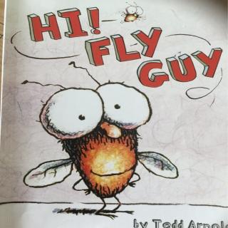 hi Fly Guy 2