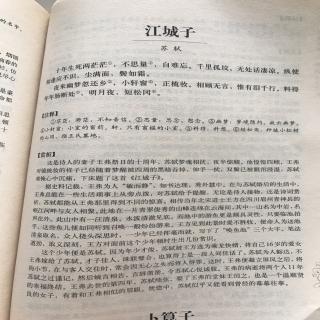 我爱宋词4.《江城子》苏轼