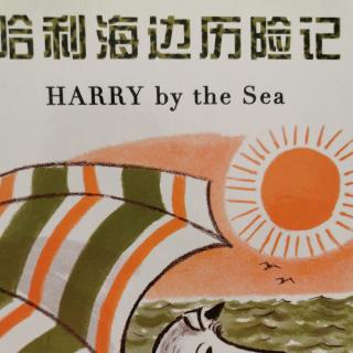 哈利海边历险记