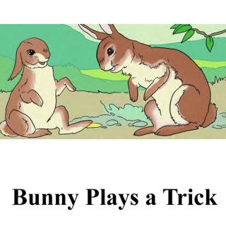 Bunny Plays a Trick