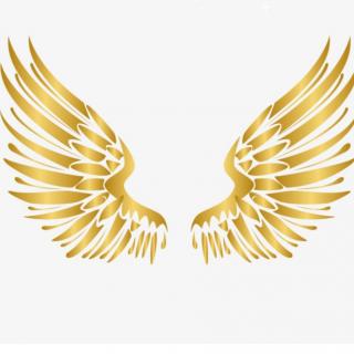 假如我有一双翅膀