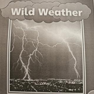 Wild Weather