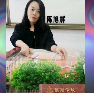 童心靓音《李清照和赵明诚的故事》靓湖学校 陈旭辉