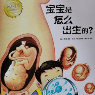 宝宝是怎么出生的