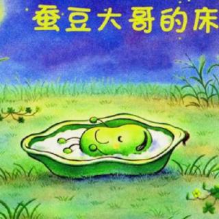 晚安故事《蚕豆大哥的床🛏️》