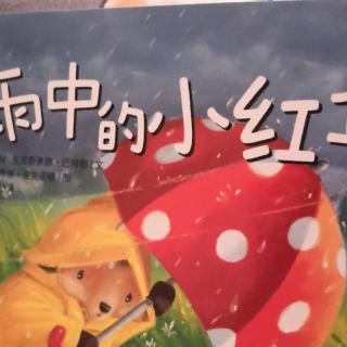 殷老师亲子朗读《雨中的小红伞》