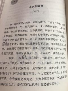 鱼我所欲也