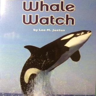 G2 Science LR Book96 - Whale Watch