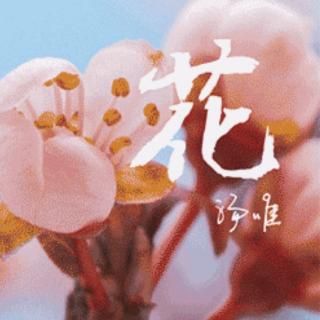 大自然在说话 6 巜花》