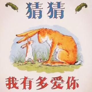 《猜猜我有多爱你》