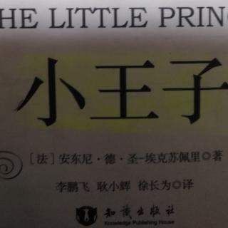 The  LittIe  Prince