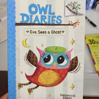 owl diaries eva sees a ghost4