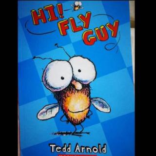 Hi! Fly Guy