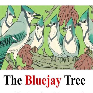 The Bluejay Tree