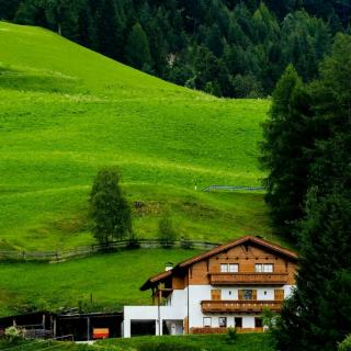 我爱阅读~笋芽儿