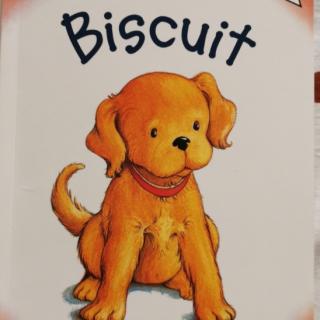 biscuit