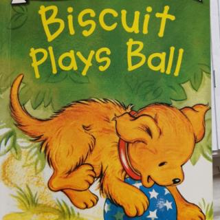 biscuit plays ball