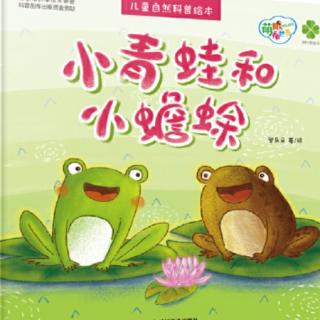 绘本故事:《小青蛙和小蟾蜍》