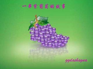 一串紫葡萄 - 北京乐迪幼儿园👬