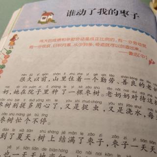 《谁动了我的枣子》