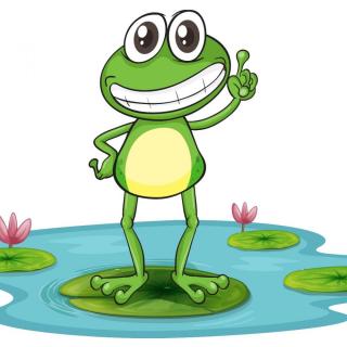 小青蛙 - 郭钦坤