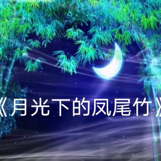 【中国名曲欣赏】葫芦丝《月光下的凤尾竹》