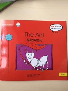 The Ant