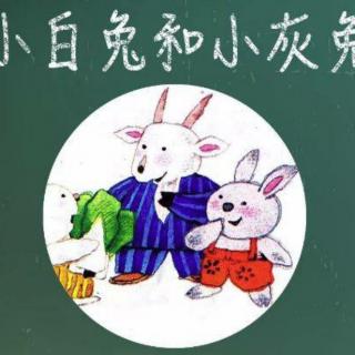 小白兔和小灰兔