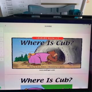 Where Is Cub?