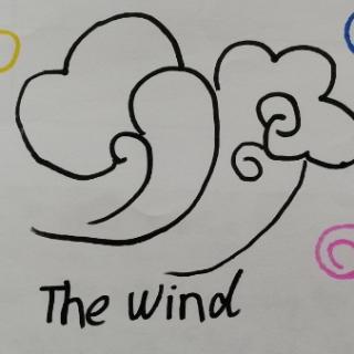 The wind