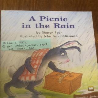 A picnic in the rain