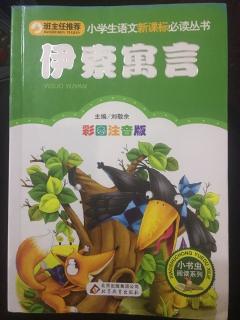 小母牛和公牛