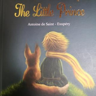 《The little prince》Chapter 9