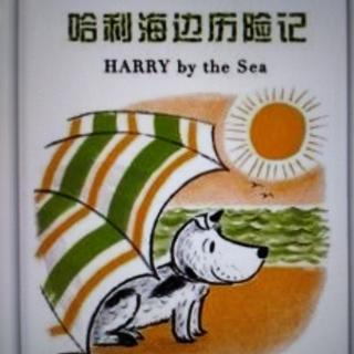 【东城南博幼儿园】睡前故事《哈利海边历险记》