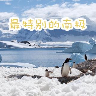 Vol.021-气温首破20度的南极需要我们的保护
