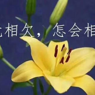 《不能见面的日子，请一定要健康平安》(紫荷)