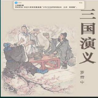 《三国演义》～黄盖巧施苦肉计