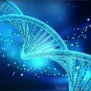 全球同步开启DNA疗愈指令