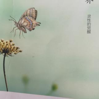 我是对的，别人是错的