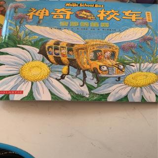小名士朗读家孙千洋《奇妙的蜂巢》