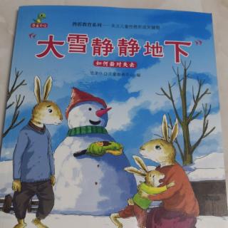 《雪静静的下》