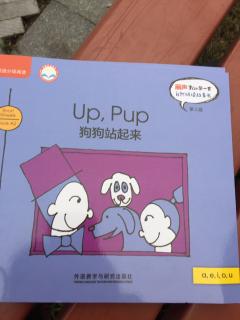 Up ，pup