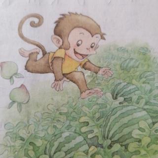 《小猴子下山》