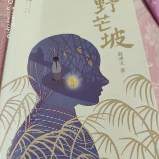 《野芒坡》一《你在这里好吗3》