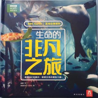 《一本关于海洋动物的立体书》